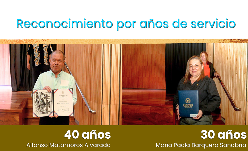 Boletín 31