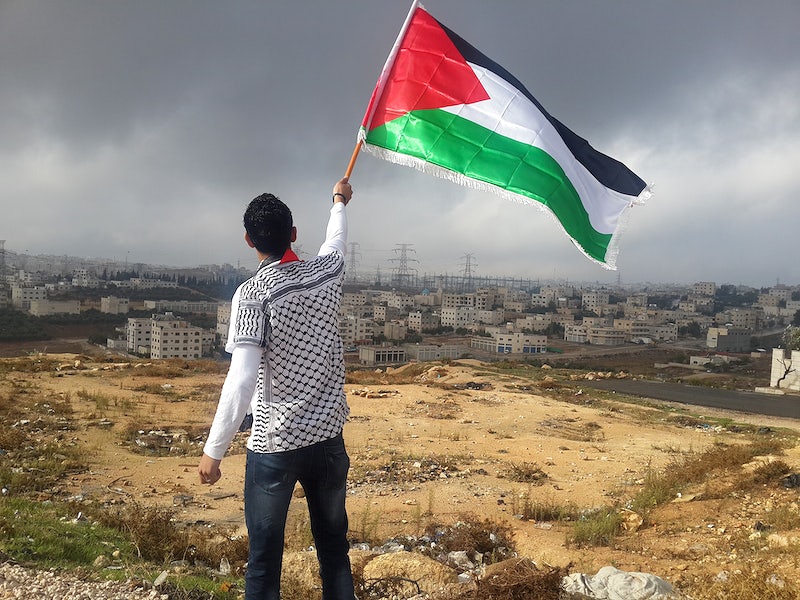 palestine.jpg 